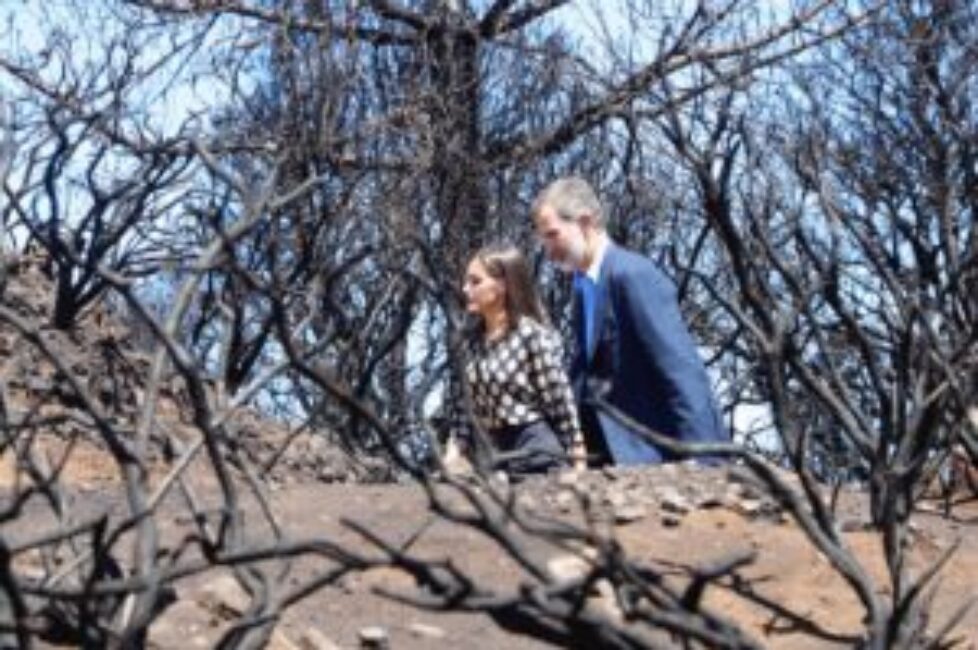 reyes_visita_zonas_incendio_gran_canaria_20190923_28