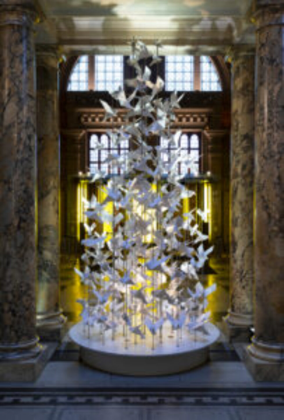 Christmas Tree Photography 2019, 26th November 2019