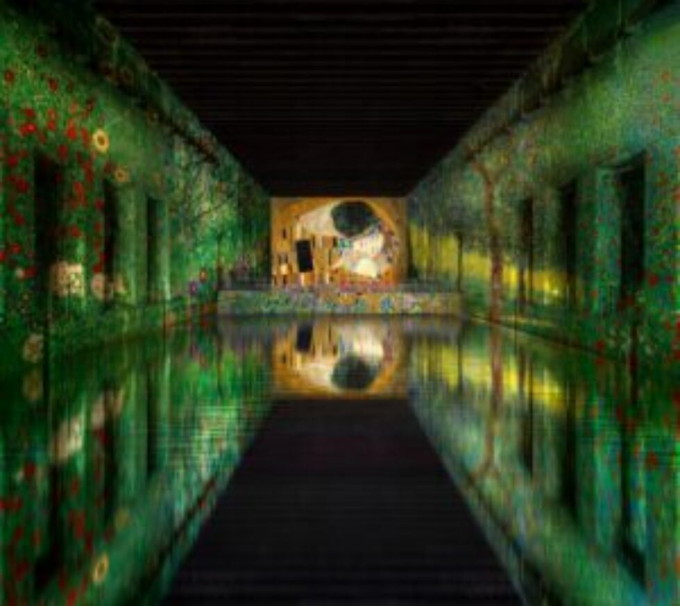 bassins_lumieres_vert_1