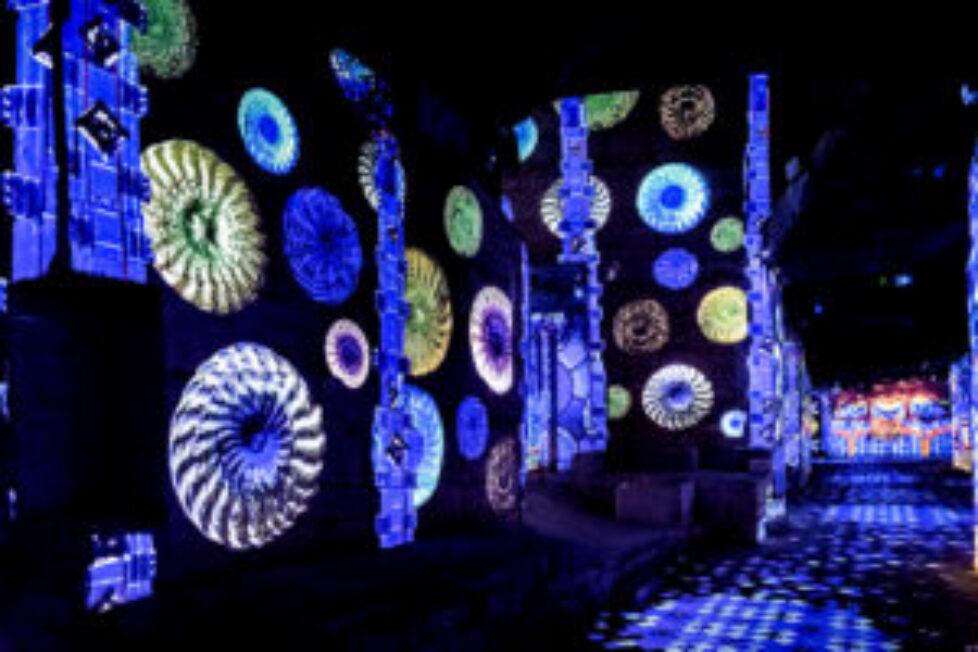gaudi_905_ericspiller