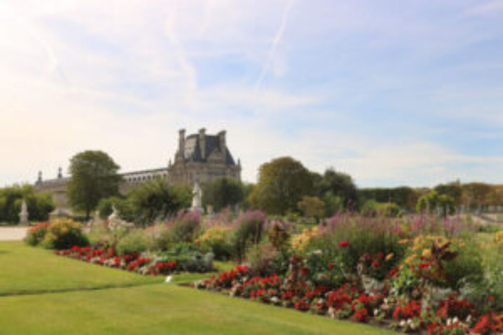 116705225_10157870097959926_8660012210011902967_o