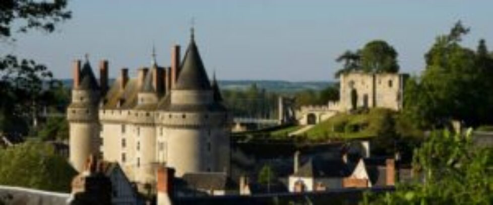 1150856_379847095475910_694252042_n