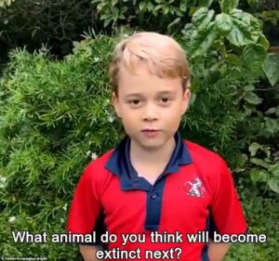33937162-8801303-Prince_George_says_Hello_David_Attenborough_what_animal_do_you_t-a-1_1601736144977