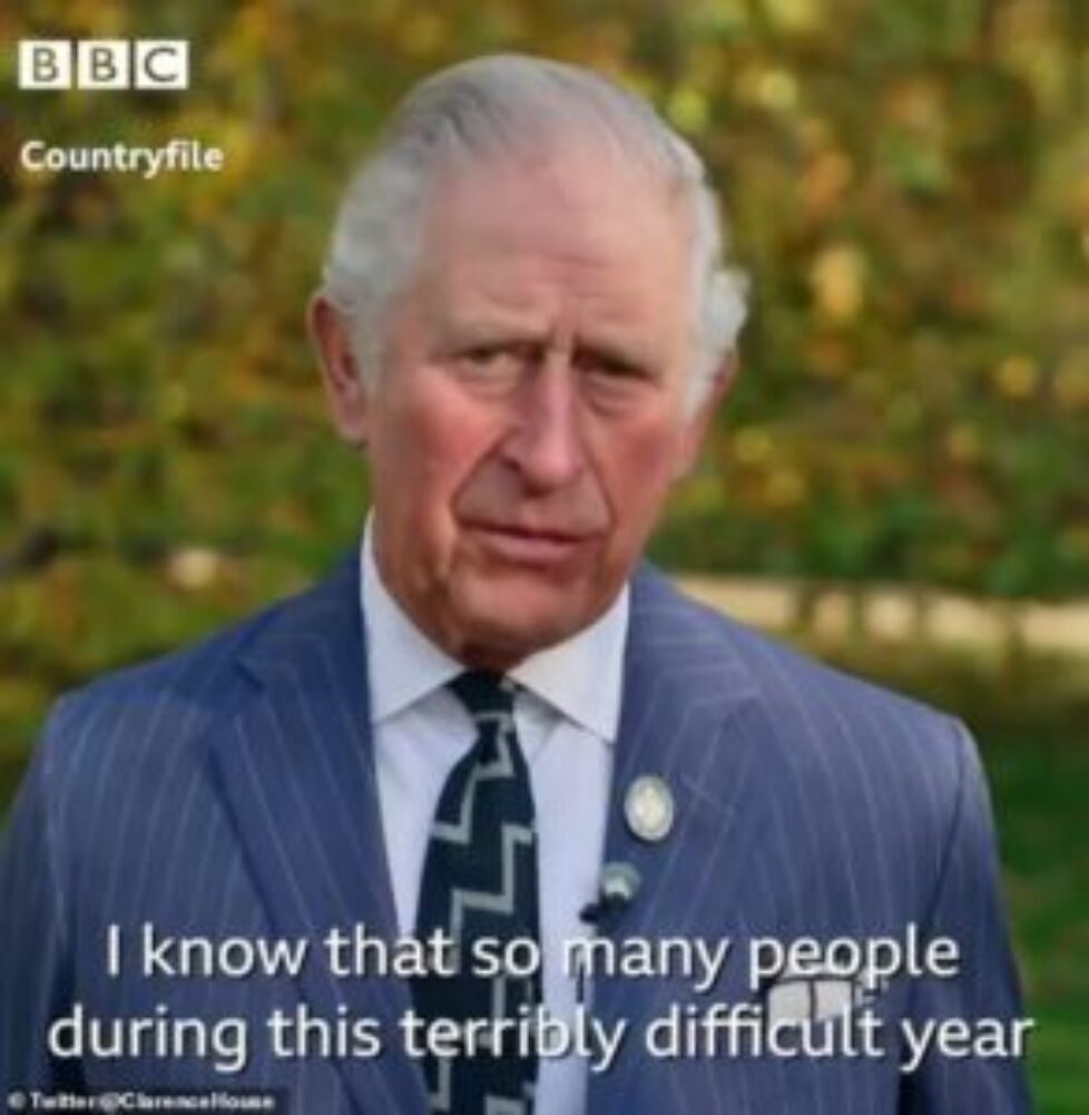 36254936-9000523-Prince_Charles_72_has_thrown_thrown_his_support_behind_a_Country-a-36_1606727691073