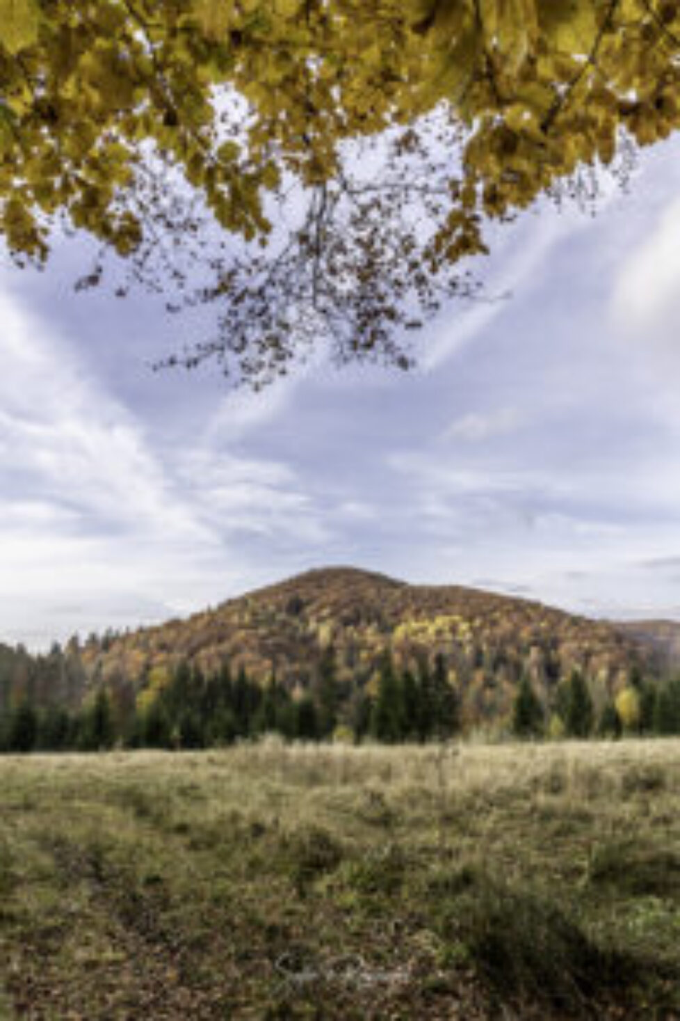 ©-SdeR-05