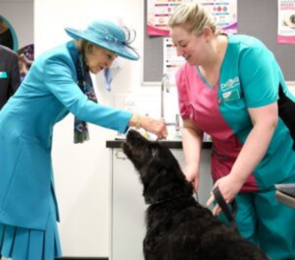 hrh_princess_alexandra_meets_bobby_the_crossbreed_and_pdsa_vet_nurse_catherine_scaife