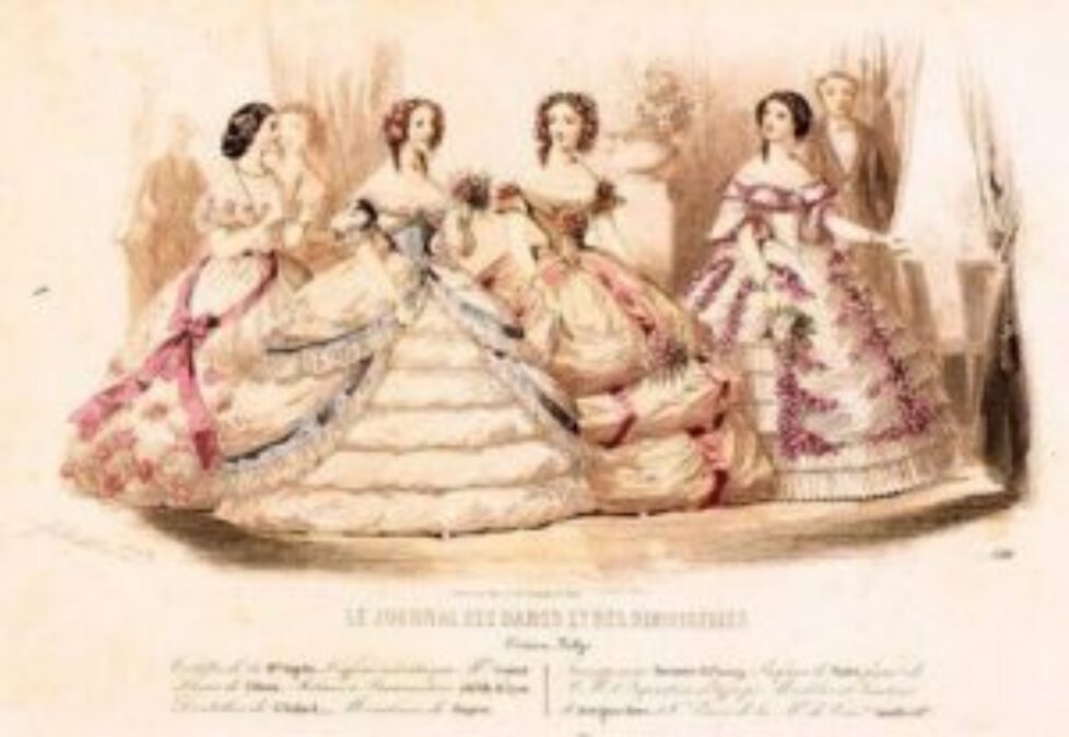 crinoline 2