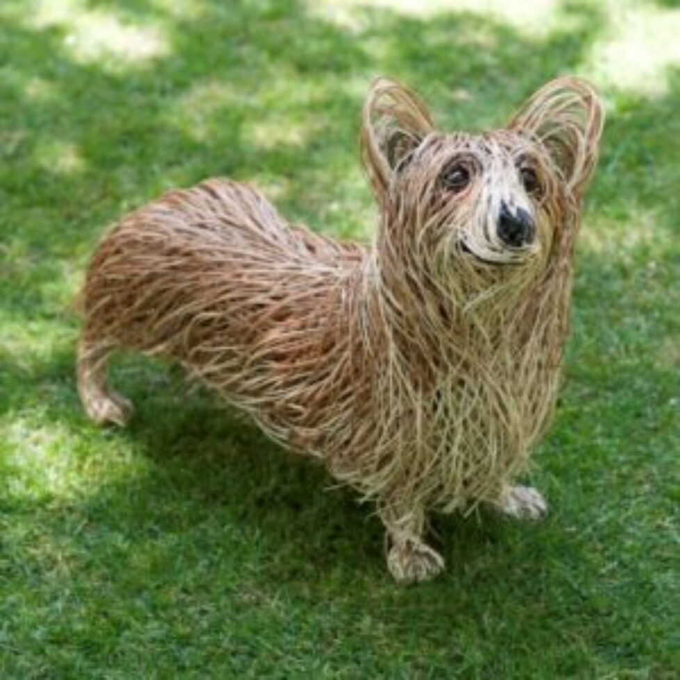 bob-johnston-has-constructed-a-wicker-corgi-21_1