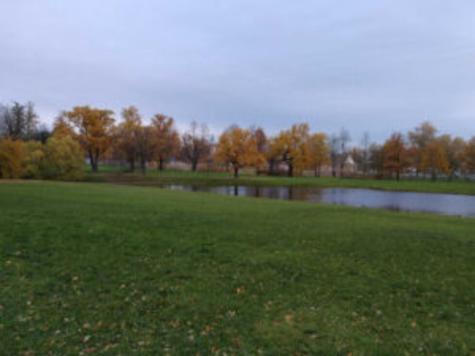 unnamed1