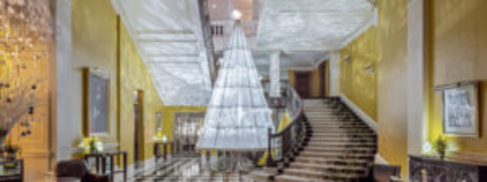 dior-tree-2021-hero