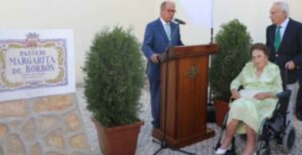 IMG_20220721_160658