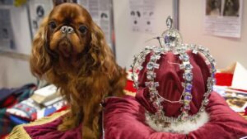 king charles