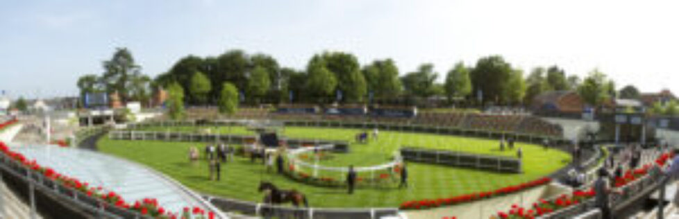 Saddling paddock at Royal Ascot on race day.