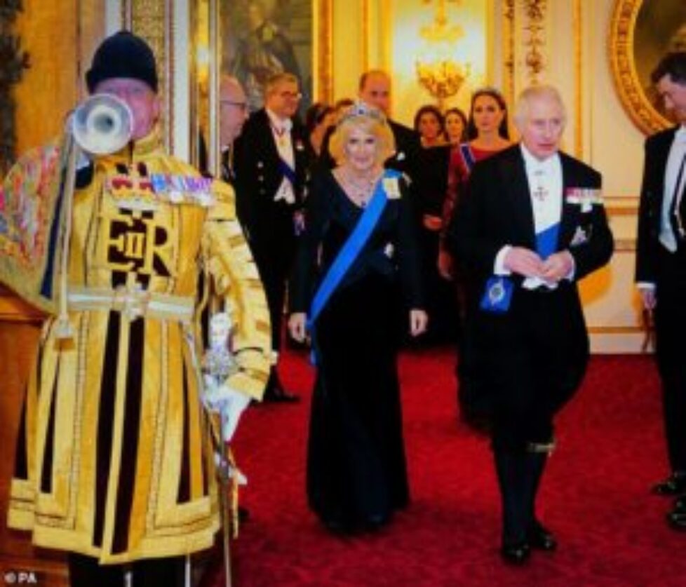 65313019-11509415-King_Charles_III_and_the_Queen_Consort_during_a_Diplomatic_Corps-a-78_1670367030701