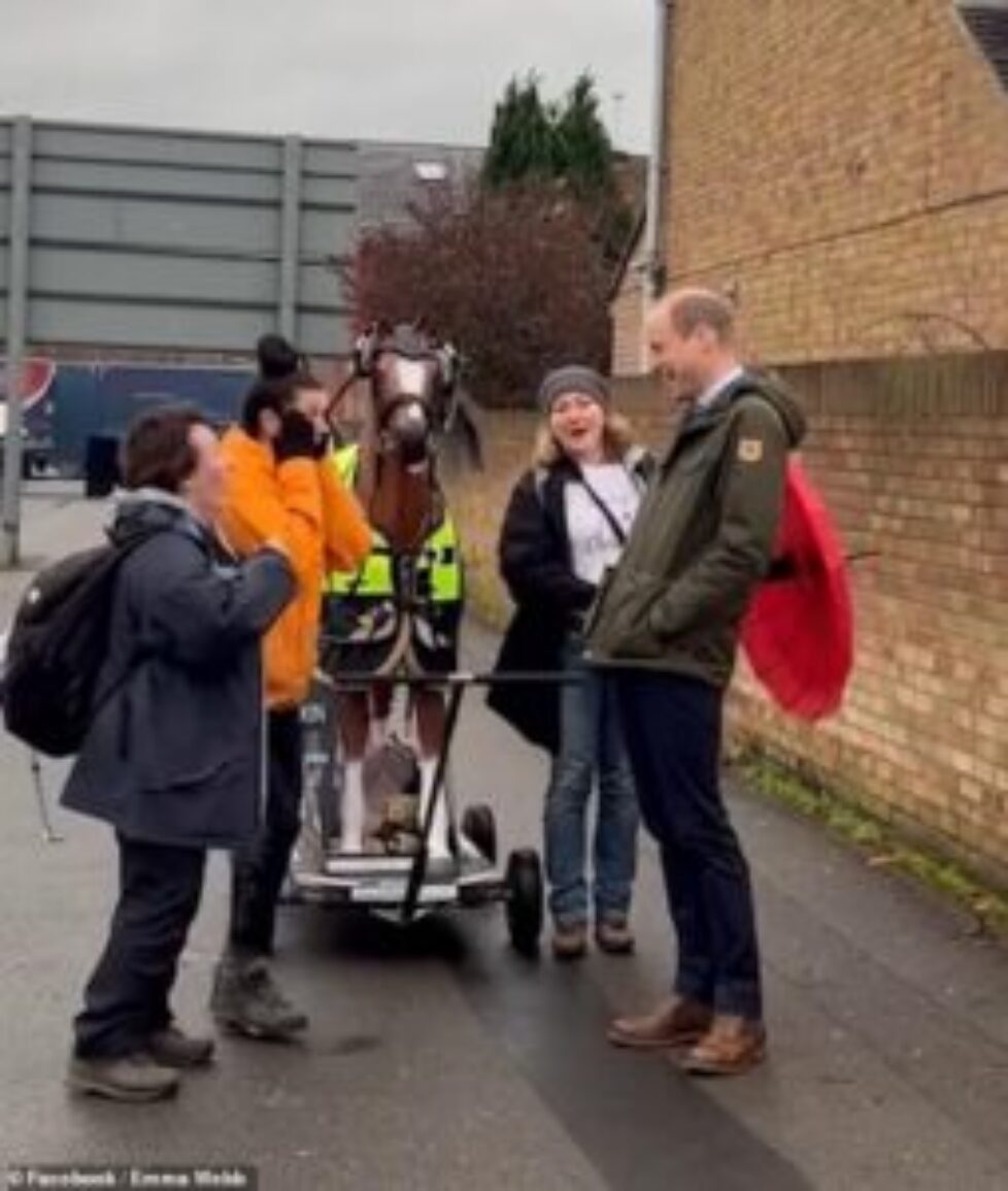 78691673-12837333-This_is_the_heartwarming_moment_Prince_William_surprised_a_woman-m-91_1701961980933
