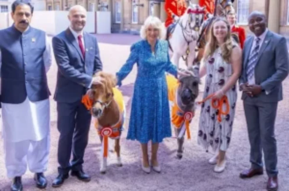 queen-camilla-3