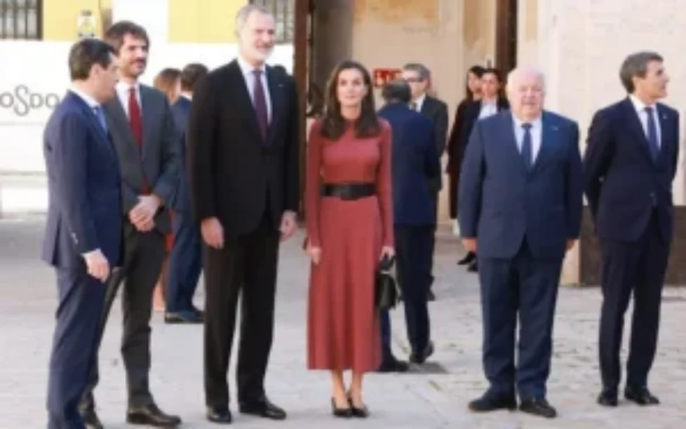 queen-letizia-indi-&-cold-marsala-color-knitted-maxi-dress-3