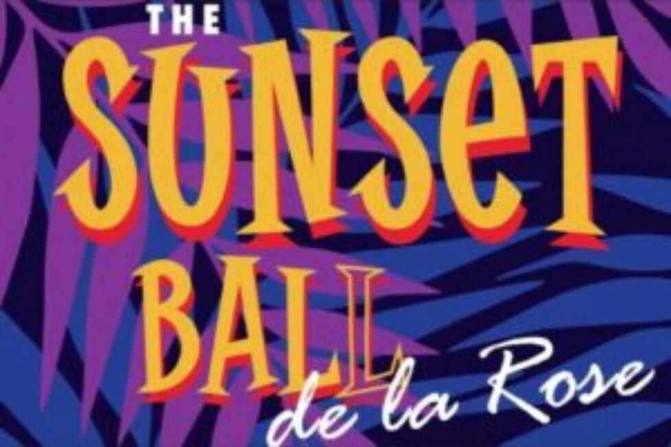 bal-de-la-rose-2025-1024x683