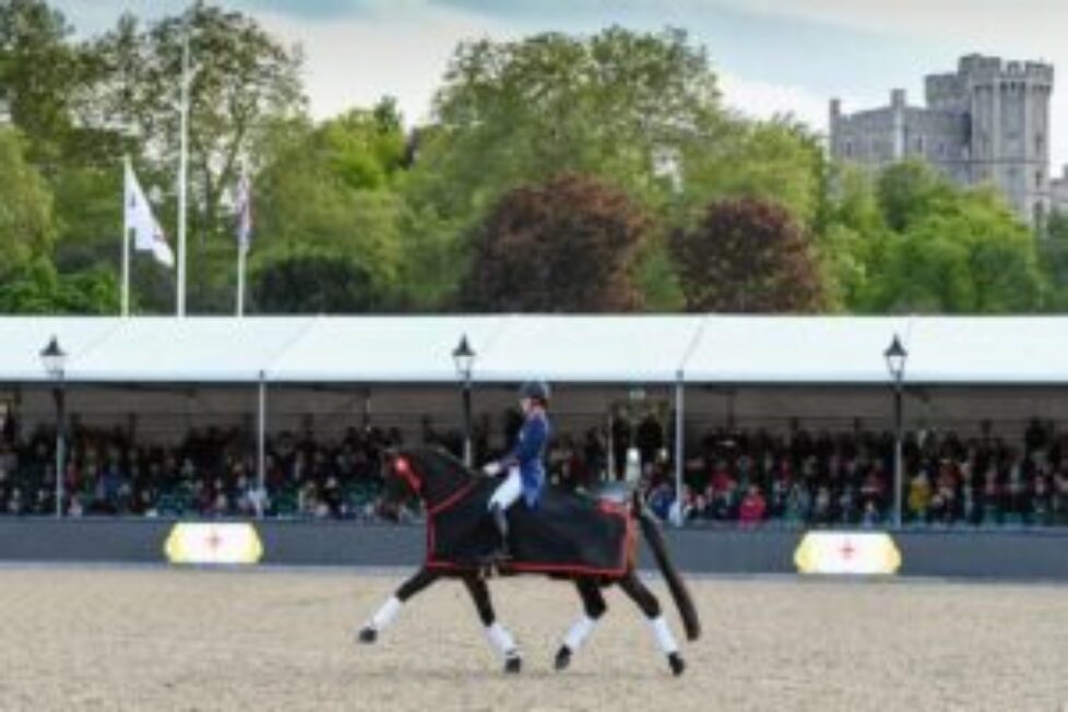 dressage-nologo-1536x1024