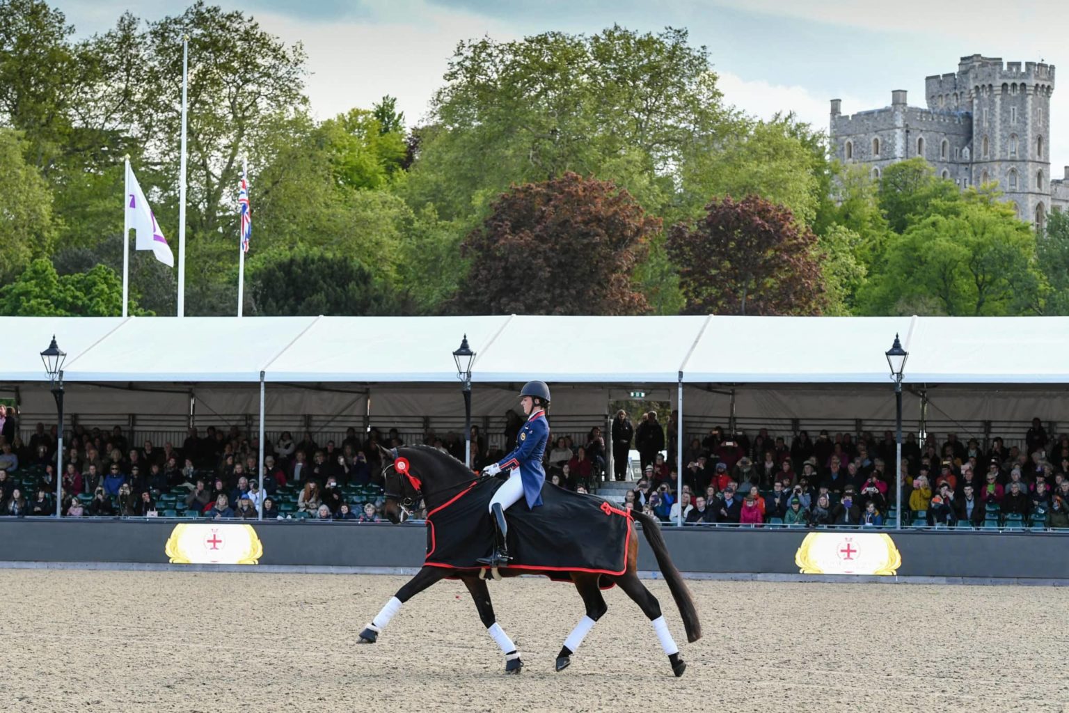 dressage-nologo-1536x1024