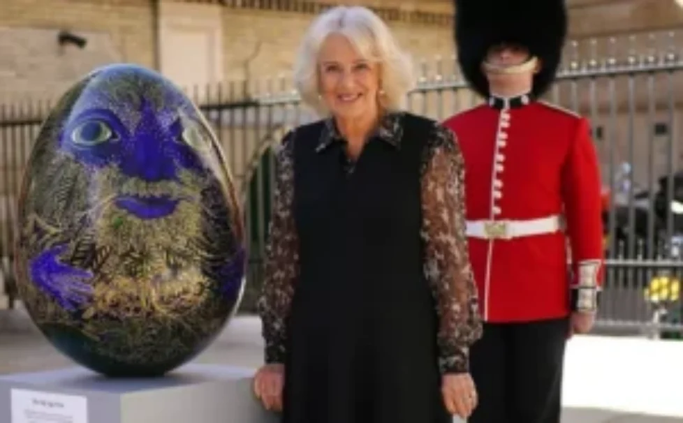queen-camilla-fiona-clare-dress-2