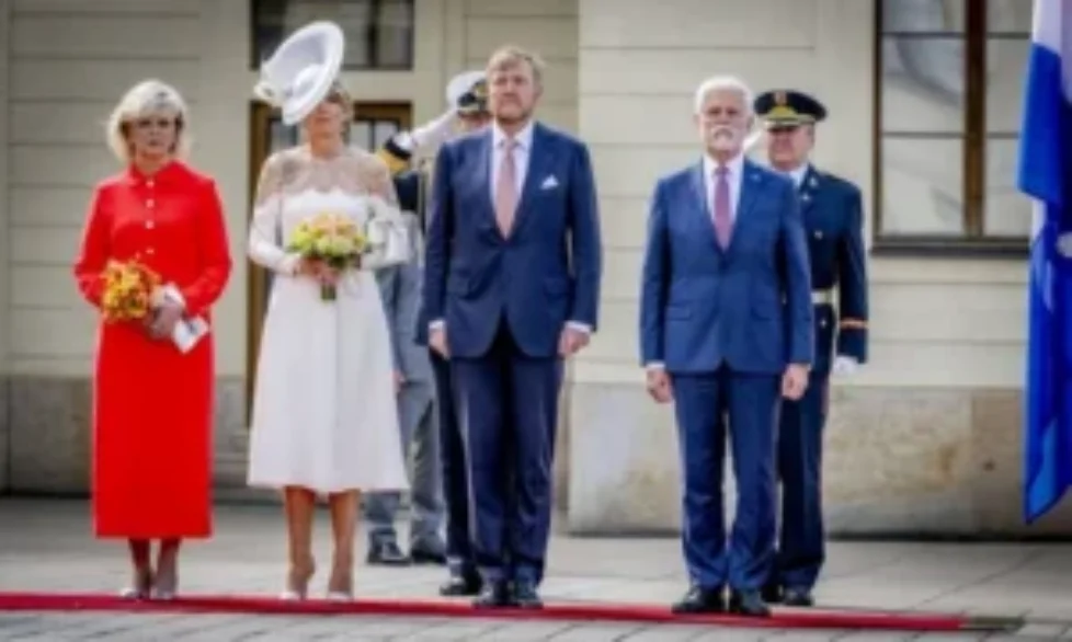 queen-maxima-jan-taminiau-scattered-dress-3
