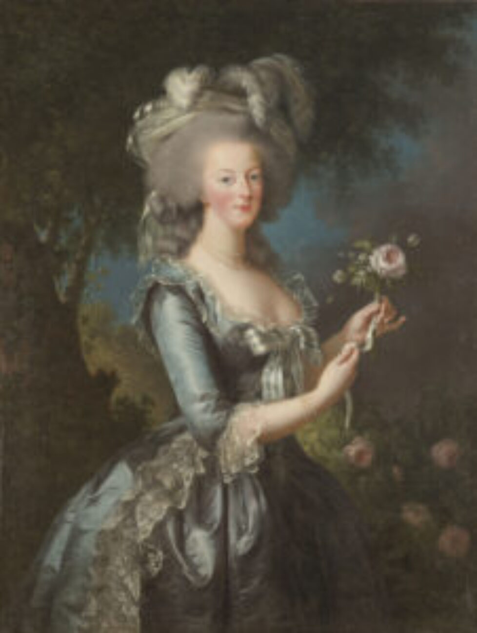 La reine Marie-Antoinette dit à la Rose, reine de France (1755-1793)