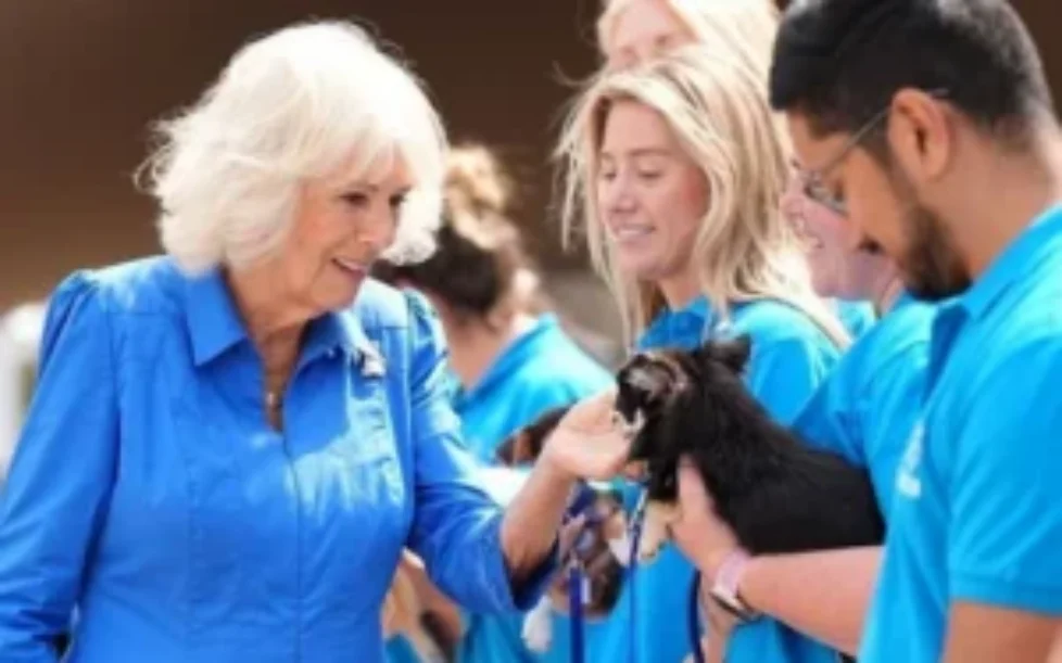 queen-camilla-3
