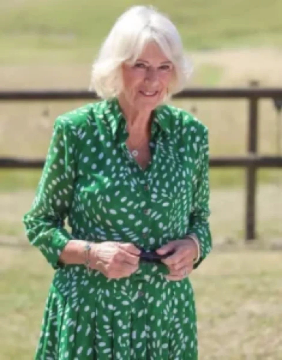 queen-camilla-samantha-sung-dress-4