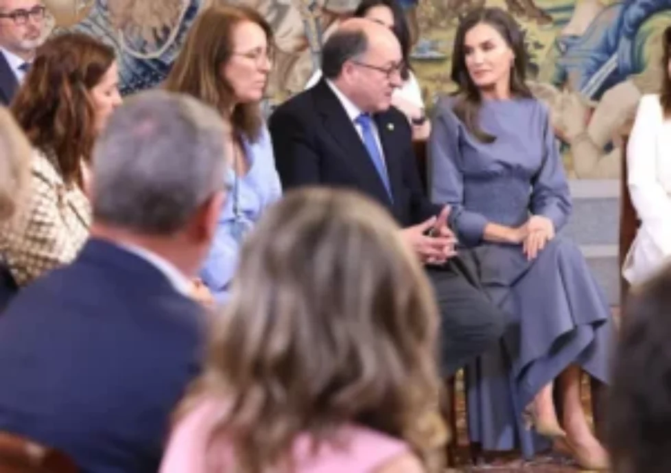 queen-letizia-adolfo-dominguez-dress-2