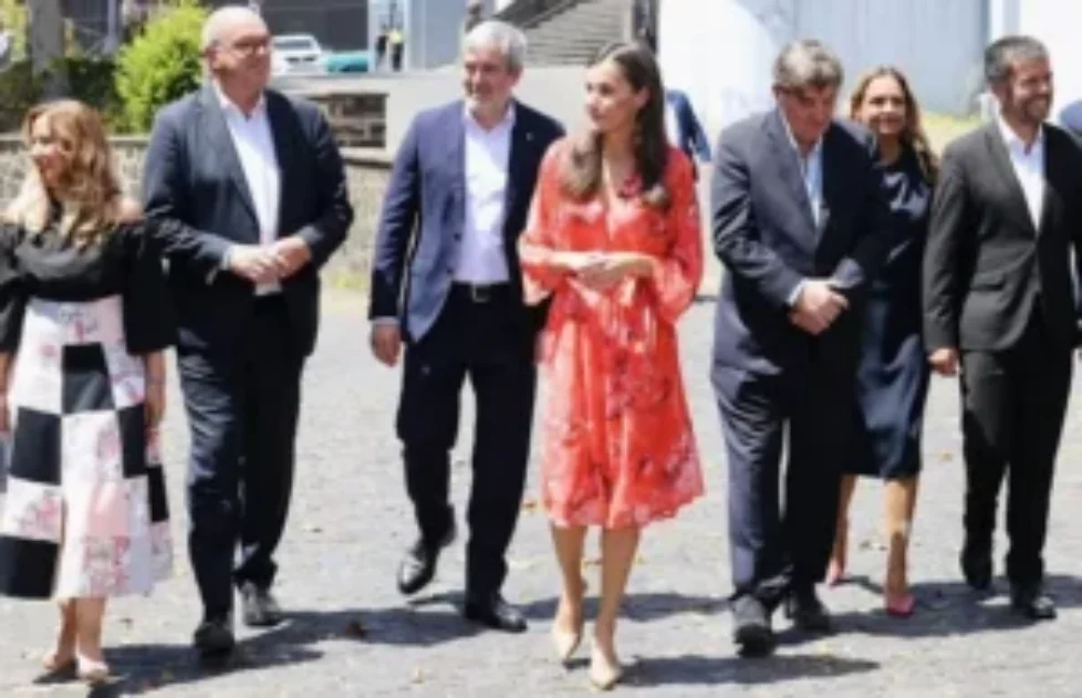 queen-letizia-adolfo-dominguez-dress-3