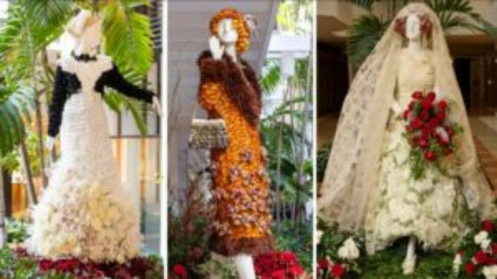 FDV-DA-Kew-Gardens_event-page-image-banners.jpeg-1536x864