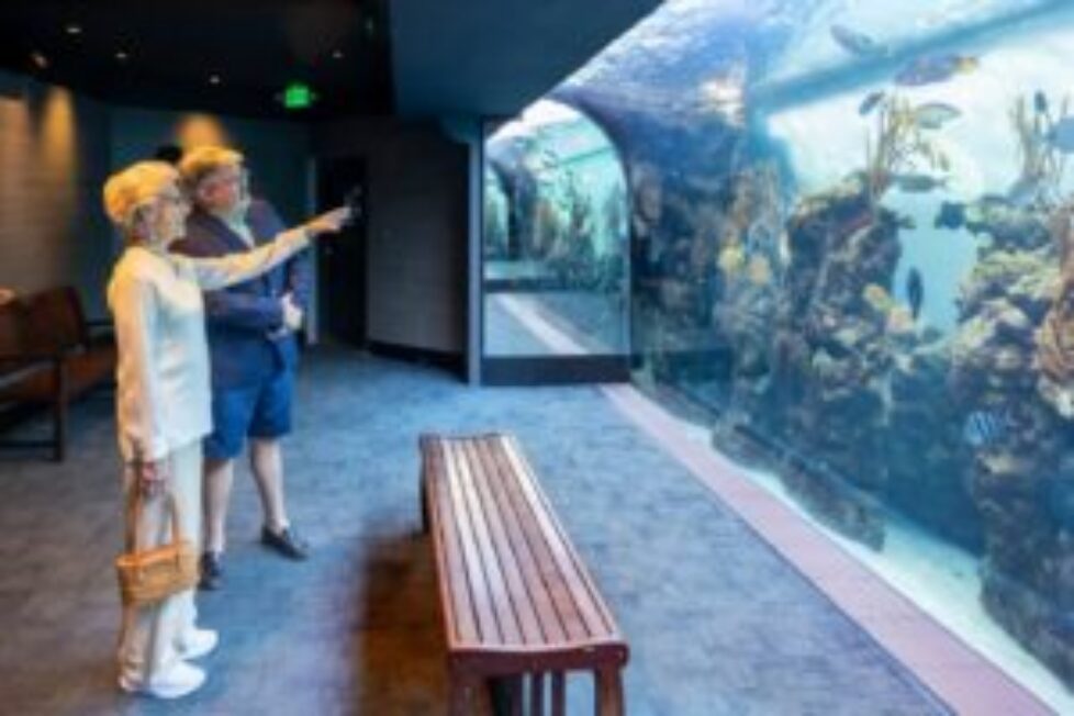 aquarium 1