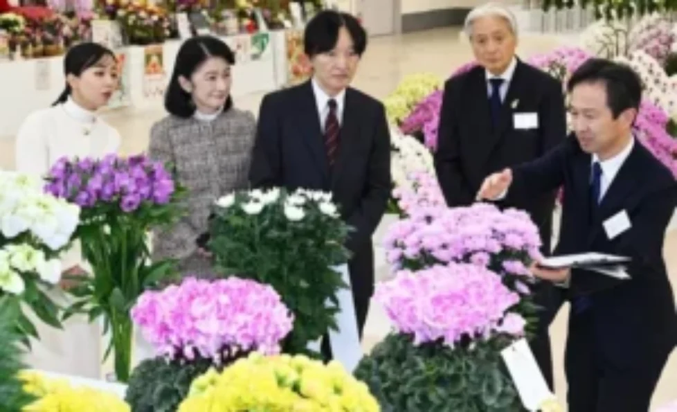 princess-kiko-princess-kako-3