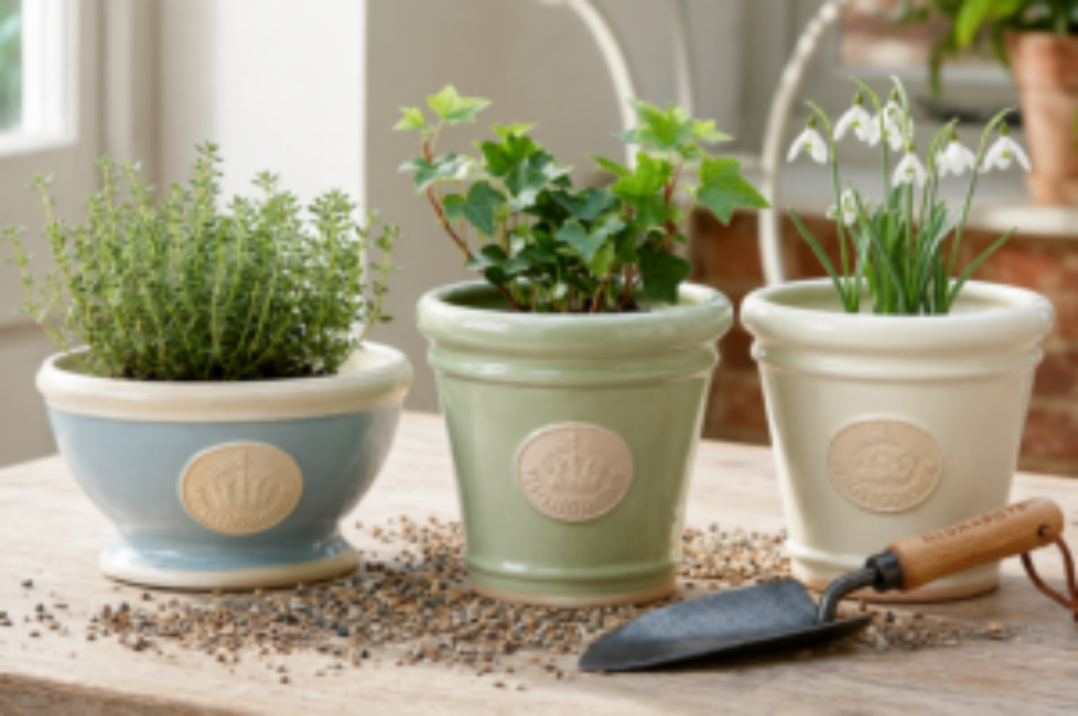 POT 2