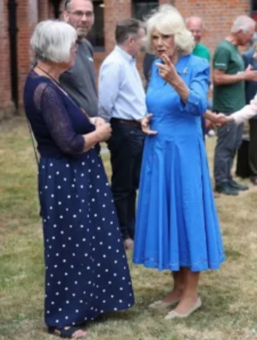 queen-camilla-fiona-clare-blue-dress-3