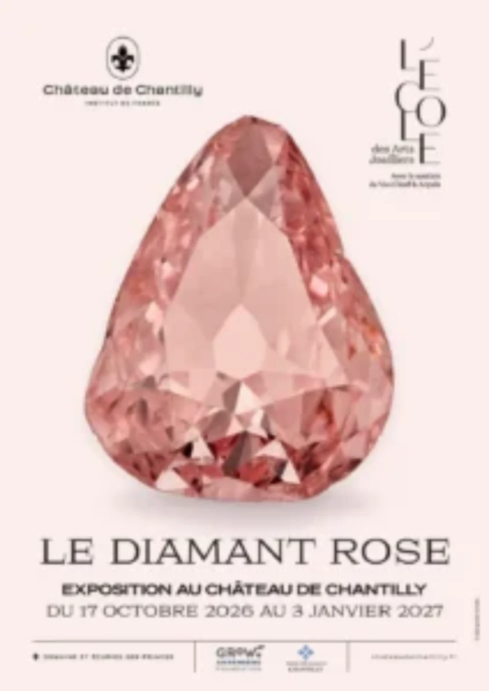 2026_Affiche_A3_Diamant_rose_avec_logos_HD