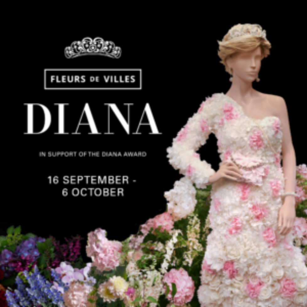 6aa843795da888ad00106f8b_Diana Banner V2 Mobile